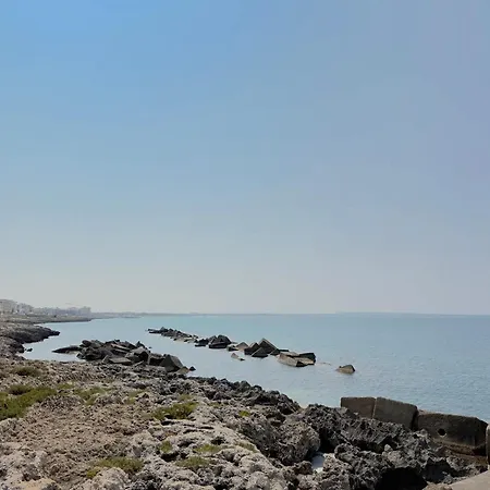 公寓 Amare - Sea Front *